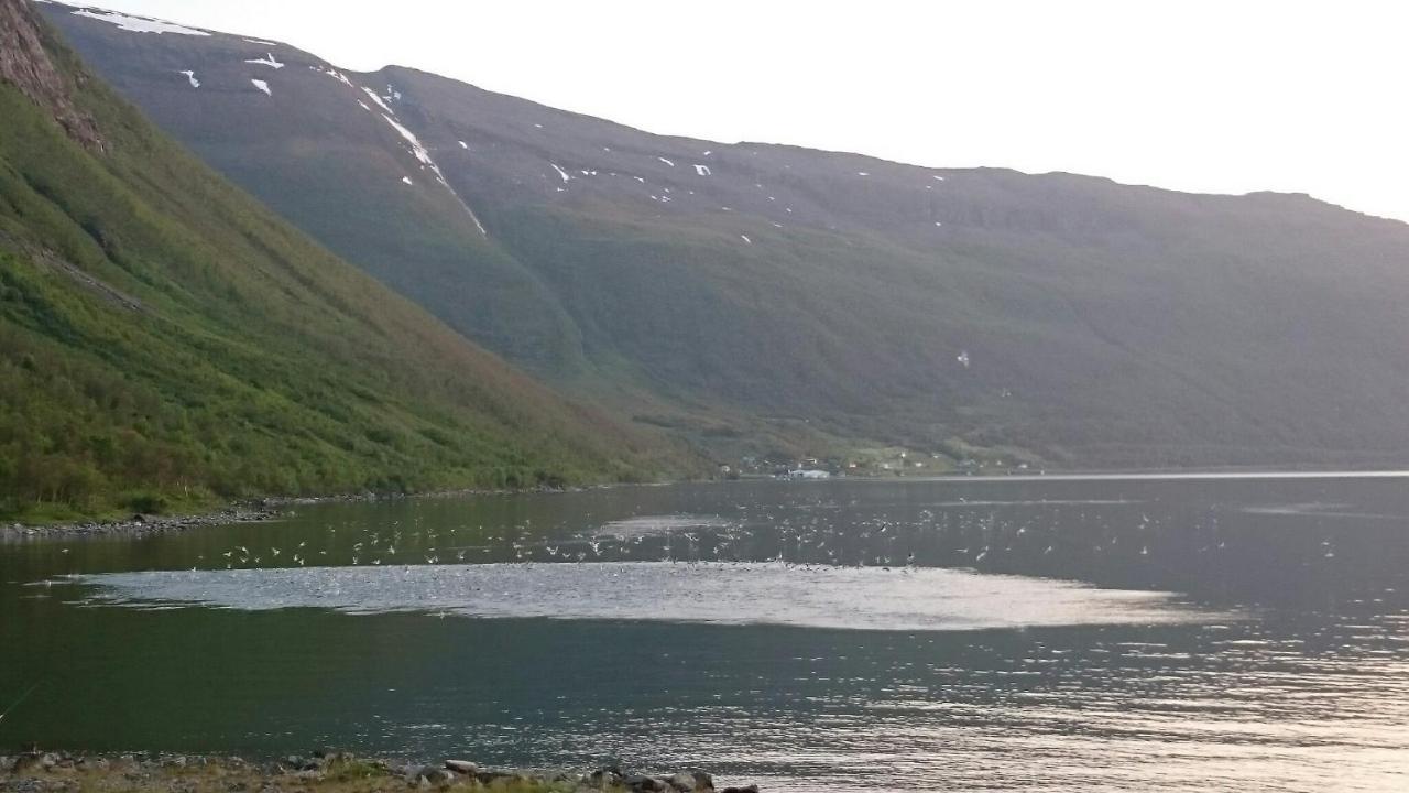 Basecamp Birtavarre Buitenkant foto